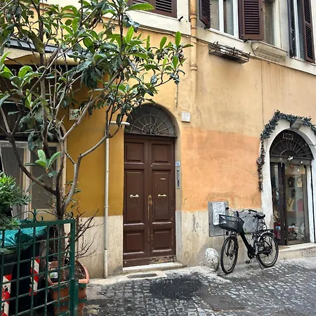 Navona - Quite And View